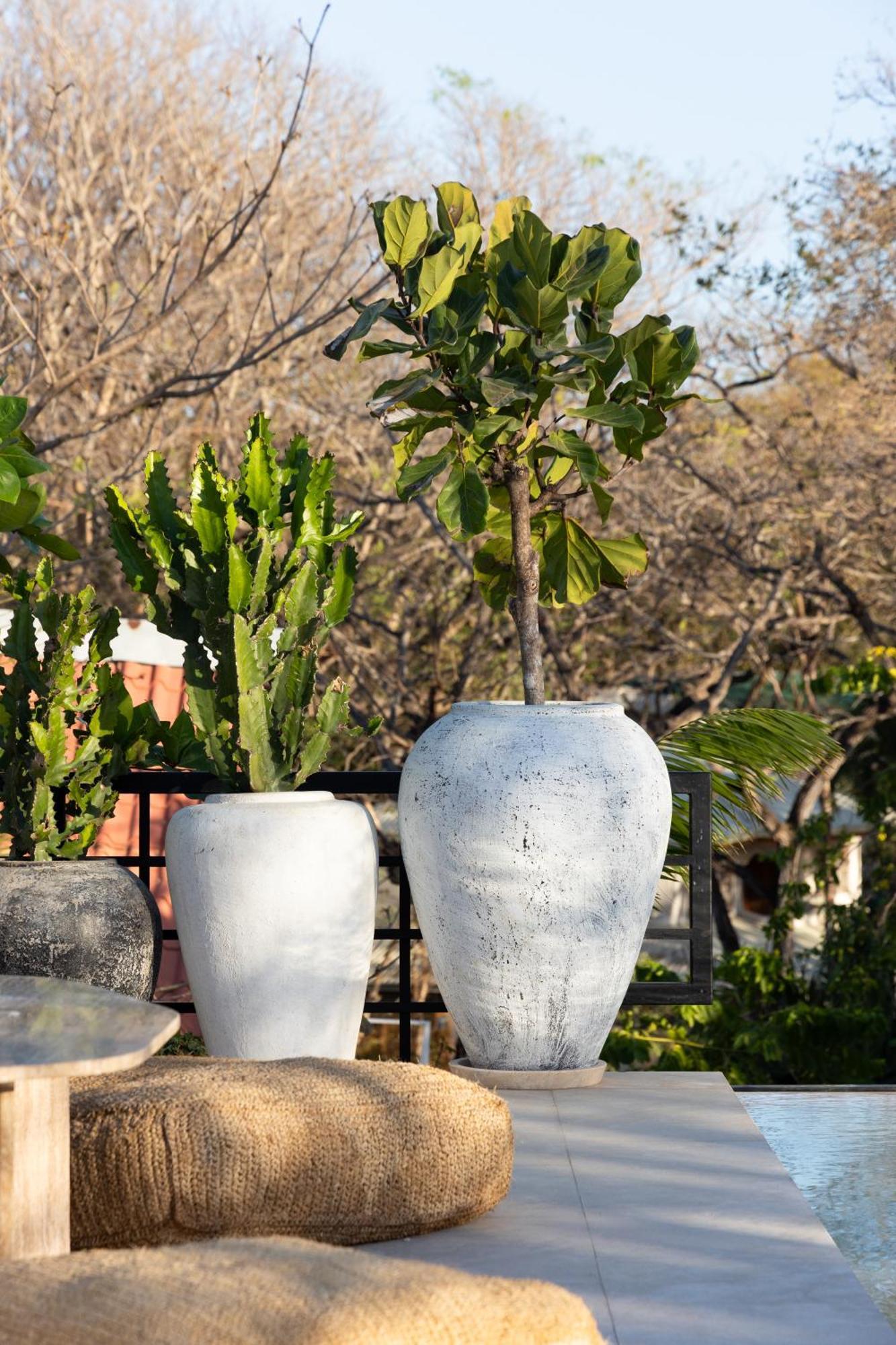 Silvestre Nosara Hotel & Residences 外观 照片